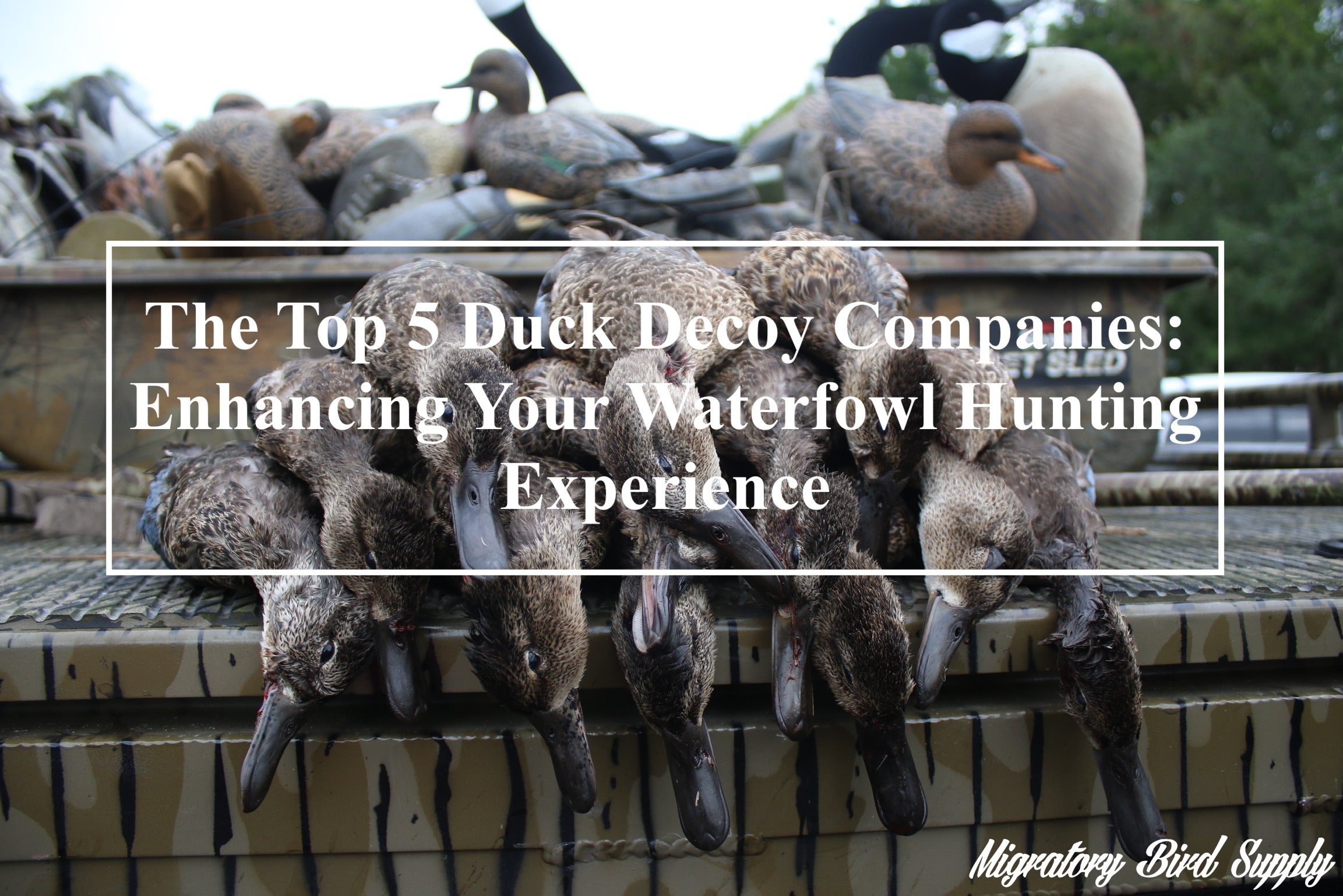 The Top 5 Duck Decoy Companies: Enhancing Your Waterfowl Hunting Experience
